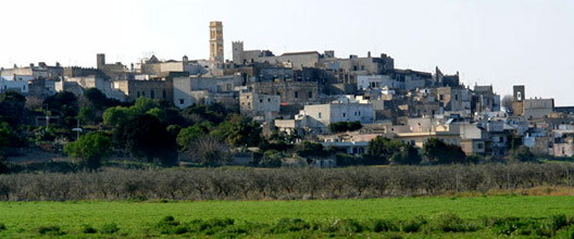 Specchia La cittadella del Cinema del reale