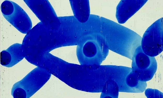 LAC LABORATORIO DI ANIMAZIONE CROMATICA in 16mm 2019