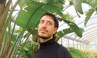 Film musicato dal vivo
