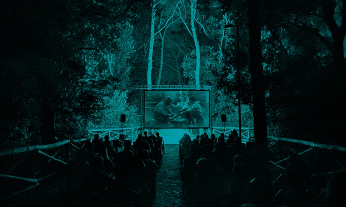 Luci nel bosco