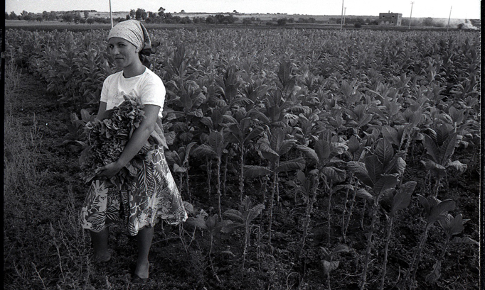 mostra Lavoro a perdere